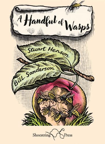 A Handful of wasps book cover