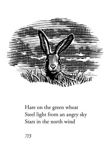 Hare on