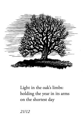 Light In...