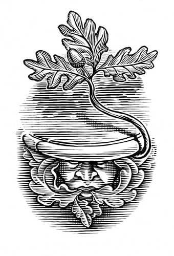 Green Man illustration